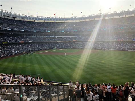 bleachers cartoon|The Bleacher Creatures at Yankee Stadium Guide .